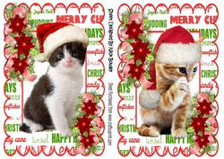 Two Lovely Kitties in Santa Hats, in Christmas Frames