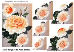 Pretty Peach Roses Scalloped Side Stackers