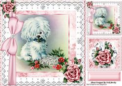 Cute Little White Pampered Dog with Roses, Lace & Diamonds