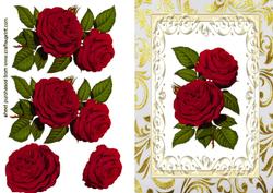 Beautiful Red Roses in Ornate Frame