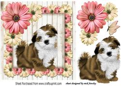 Pretty Lhapso Puppy in Floral Frame with Butterfly