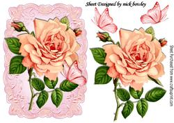 Stunning Peach/pink Rose with Butterflies on a Scroll Plaque