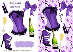 Gorgeous Ladies Accessories in Purple/black