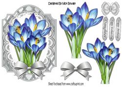 Pretty Blue Crocus and Butterflies on Silver Lattice Frame