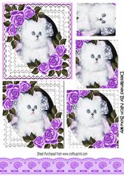 Cute White Kitten with Purple Roses in Lace Frame Pyramids