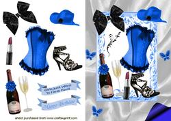 Pretty Blue/black Ladies Accessories