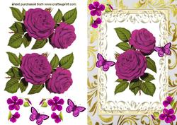 Pretty Cerise Pink Roses, with Butterflies