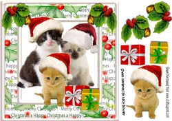 Cute kittens in santa hats with presents, in holly frame 8x8