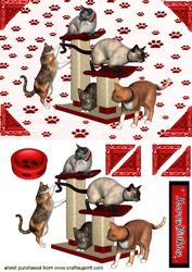 Playful Cats, Lots of Little Kitties