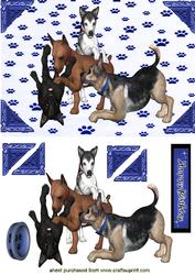 Playful Dogs, Cute Little Pooches