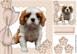 Cute little tan and white cavalier puppy with bow and buttons 8x8
