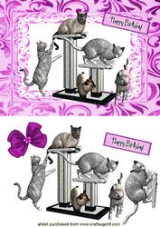 Playful Kitties, in a Frame