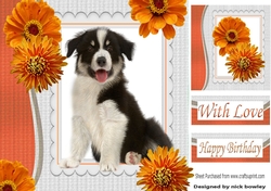 Border collie with orange flowers in ornate frame 8x8