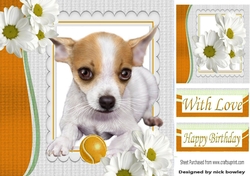 Cute little Chihuahua puppy with  yellow ball and daisies 8x8