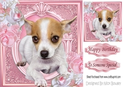 Cute little Chihuahua puppy with pink roses 8x8