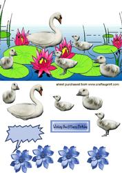 This is How You Do It! Swan with Babies