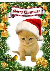 Cute Kitty in santa hat with little robin A4