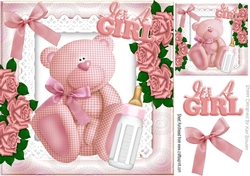 Cute pink gingham bear with bottle and roses 8x8