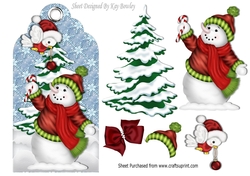 cute snowman with robin holding a bauble on a tag