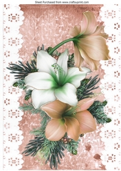 Pretty peach and white Amaryllis on lace with bow A4