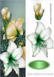 Pretty gold and white poinsettias tall DL
