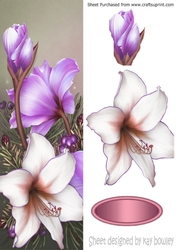 Pretty lilac and white poinsettias tall DL