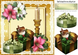 Lovely christmas gifts with robin and festive floral candlestick 8x8