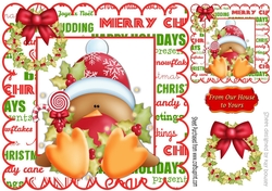 cheeky little robin in festive frame with bow 8x8