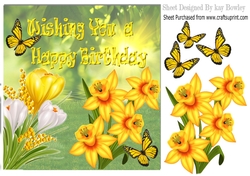 Crocuses & Daffodils with butterflies in the meadow
