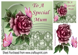 pretty pink rose with butterflies for a special mum