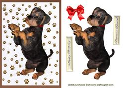Cute Little Rotweiler Puppy