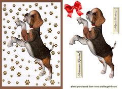 Cute Little Beagle Puppy