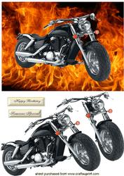Harley Davidson Motor Bike with Flames