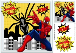 Spider hero man is in the city 8x8