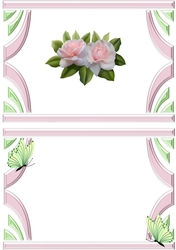 pink blush roses in art deco frame with butterflies A5 Insert