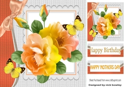 pretty peach/lemon roses with butterflies and bow 8x8