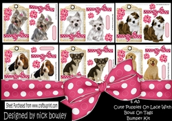 6 Cute puppies on lace with bows and flowers on A5 tags bumper kit