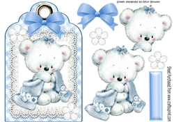 Little white teddy cuddling blanket on lace blue gingham tag