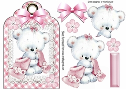 Little white teddy cuddling blanket on lace pink gingham tag