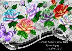 6 pretty Rainbow Roses with Rosebuds in png