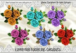 6 Pretty Posies of Coloured Roses png
