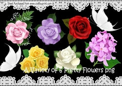 A Variety Of 6 Pretty Flowers png