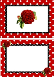 pretty red polkadot/stripe shoes with red roses A5 Insert