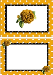 pretty gold polkadot/stripe shoes with gold roses A5 Insert