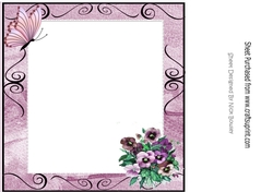 Pretty shades of pink pansies with butterfly 8x8 insert