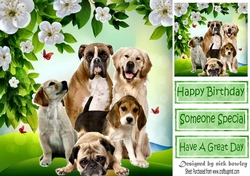 Smile for the camera, cute dogs 8x8