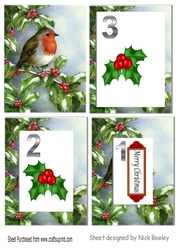 robin with snow & holly & berries tunnel pyramids