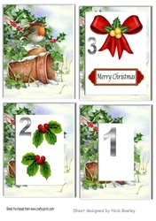 robin with snow & holly & berries with flower pots tunnel pyramids