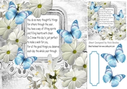 pretty white daisies, flowers and blue butterflies with verse 8x8