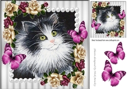pretty painted black and white kitten with pearl & pink/cream roses 8x8